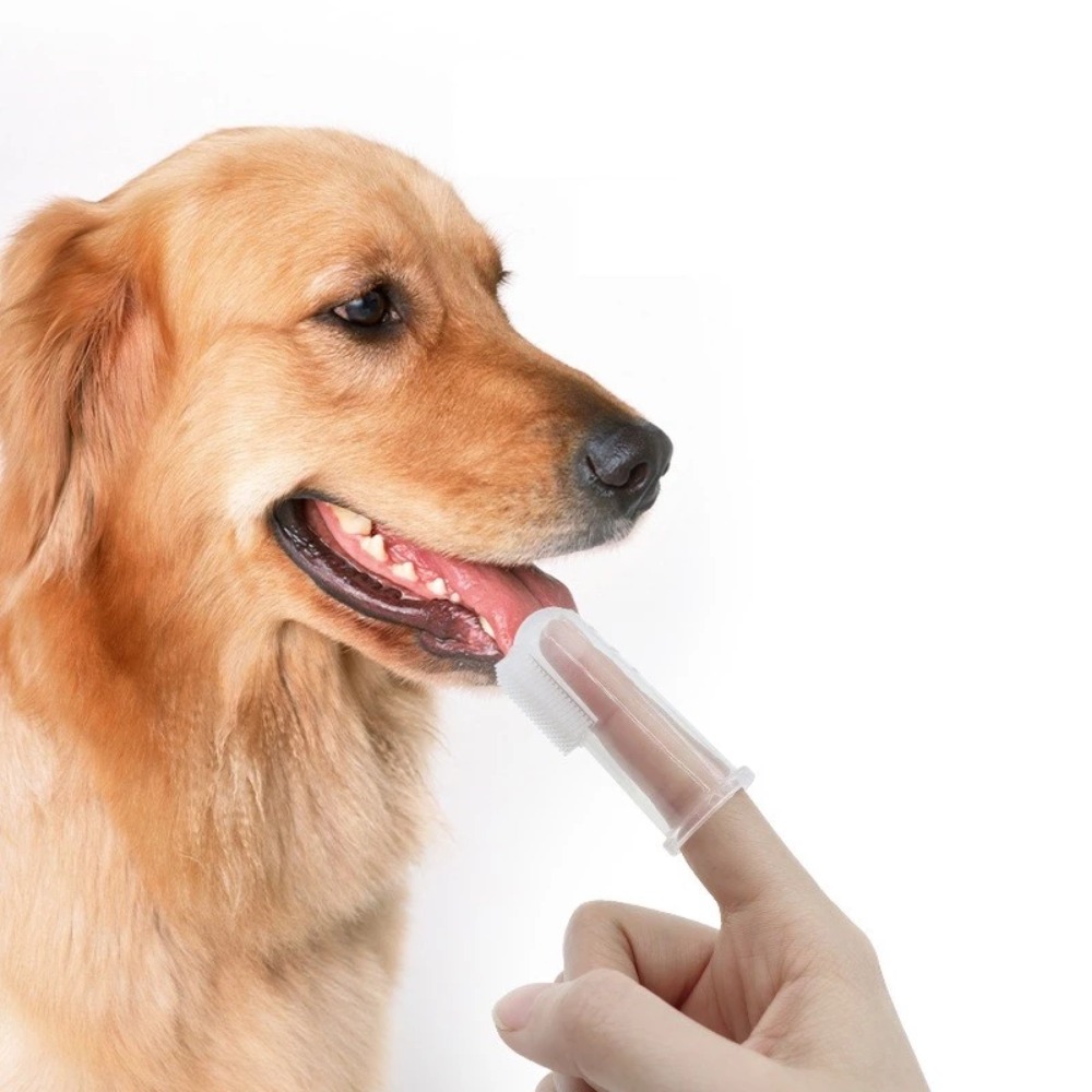 Super Soft Pet Finger Toothbru - Tools & Workshop Equipment recension och pris